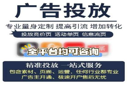 某某企业SEM推广成功案例：打造品牌营销新模式